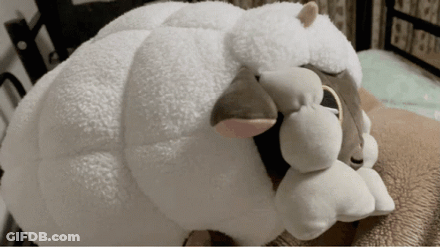 Wooloo Going To Sleep GIF