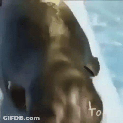 Wooo GIF