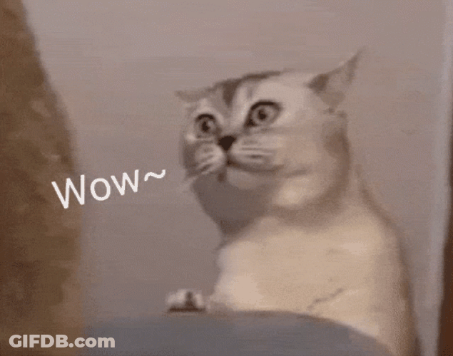 Woooo GIF
