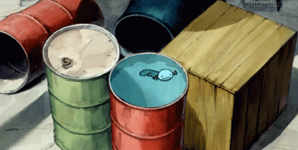 Wooper Swimming In Drum GIF