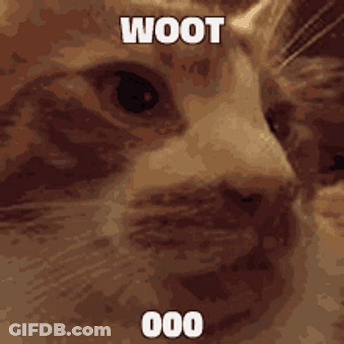 Woot Woot Cat GIF