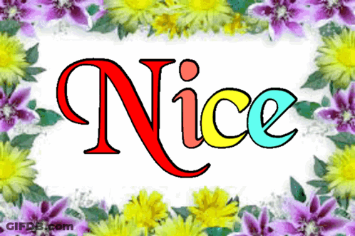Word Nice Surrounded By Colorful Flowers GIF