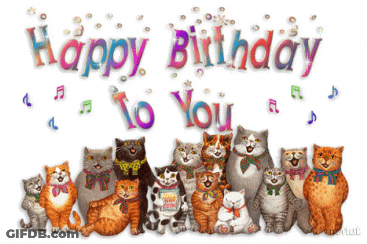 Wordle Birthday Cat Group GIF