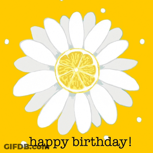 Wordle Birthday Daisy Lemon GIF