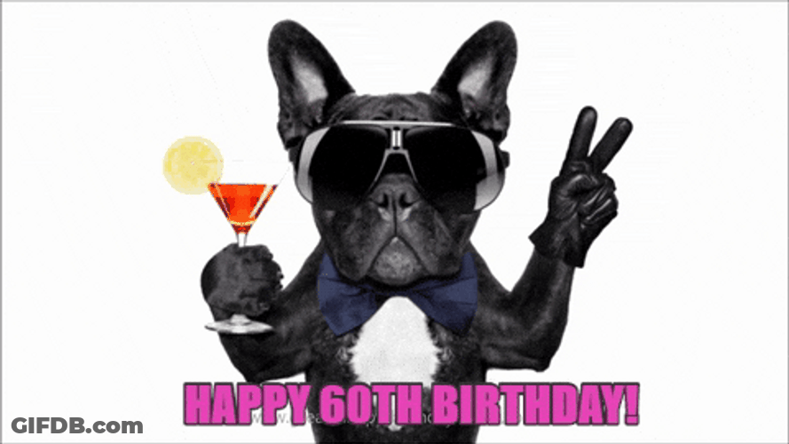 Wordle Birthday French Bulldog GIF