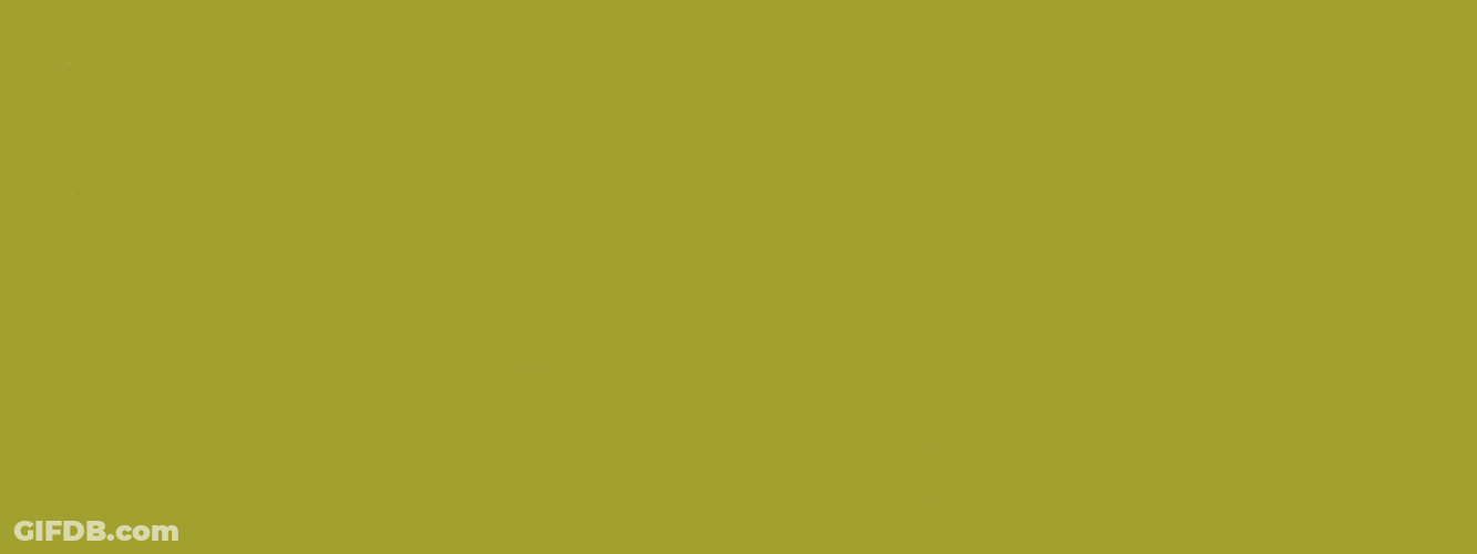 Wordle Birthday Olive Green Background GIF