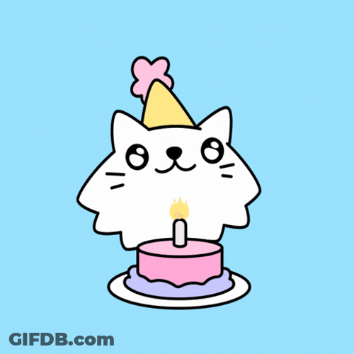 Wordle Birthday White Kitty GIF