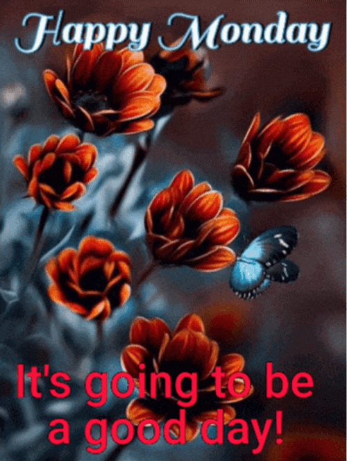 Words Of Encouragement GIF
