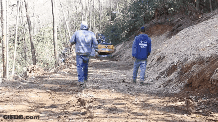 Work Bestie Walks At The Forest GIF