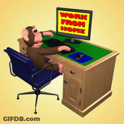 Work From Home Cartoon Monkey GIF