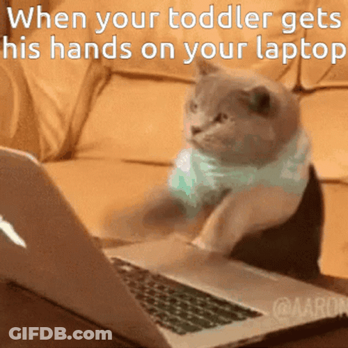 Work From Home Cat Typing So Fast GIF