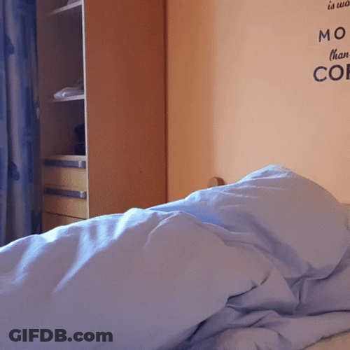 Work From Home Small Guy GIF