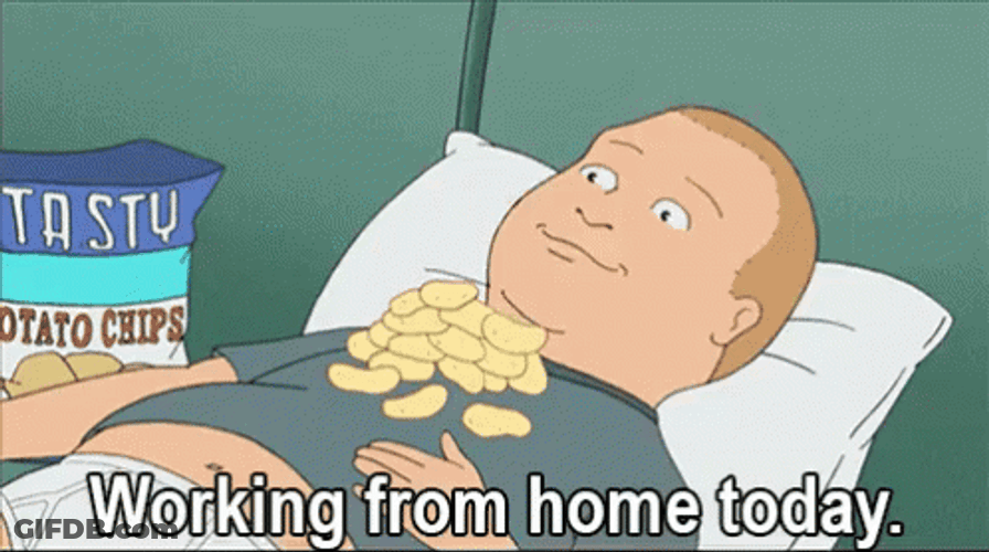 Work From Home Today GIF
