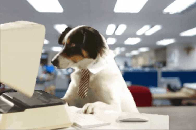 Work Monday For A Hard Working Dog GIF