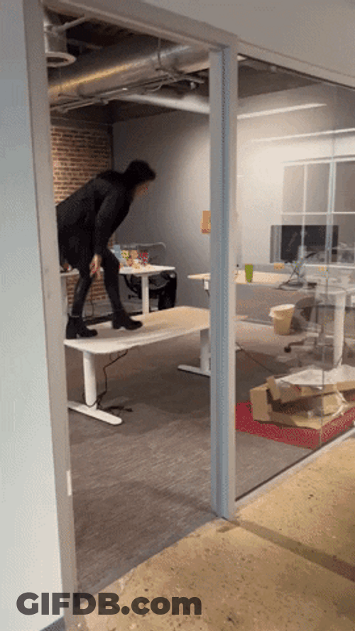 Work Party Get's Exciting GIF
