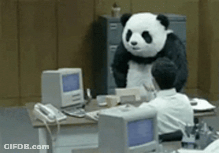 Work Stress Angry Tantrum Panda GIF