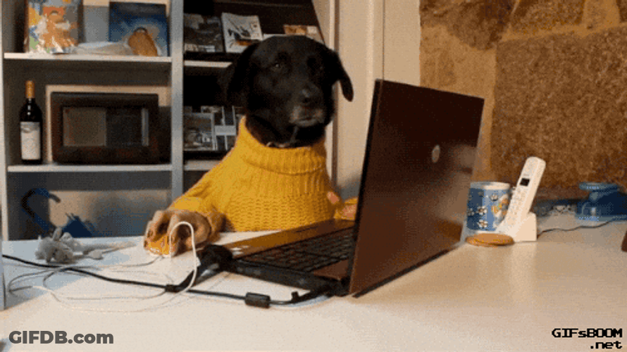 Working Butter Dog GIF