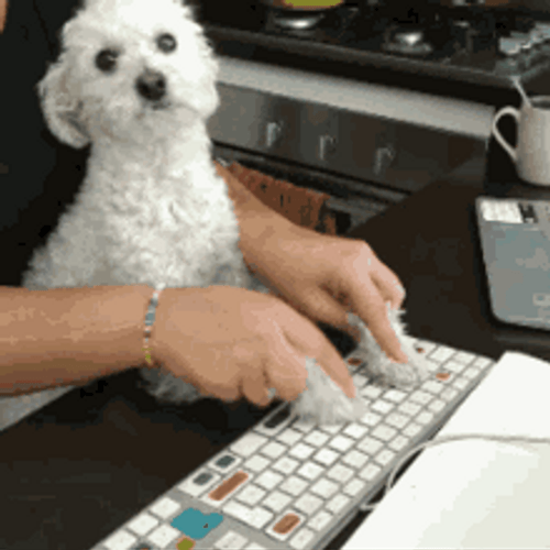 Working From Home Wfh Cute Puppy Typing GIF