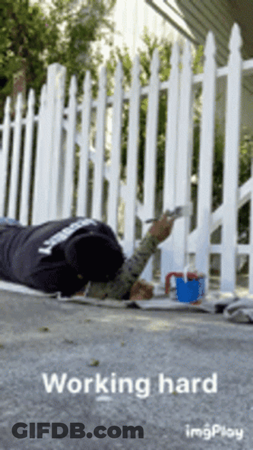 Working Hard GIF