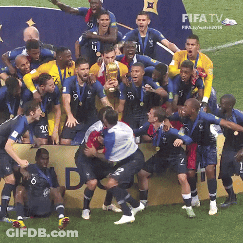 World Cup France Football Team Victory GIF