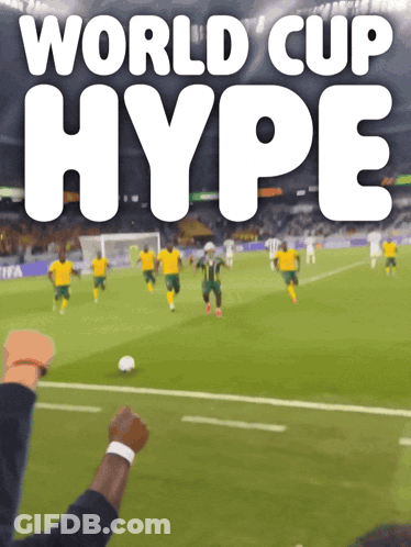 World Cup Hype Soccer Field GIF