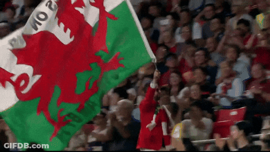 World Cup Man Running With Huge Wales Flag GIF