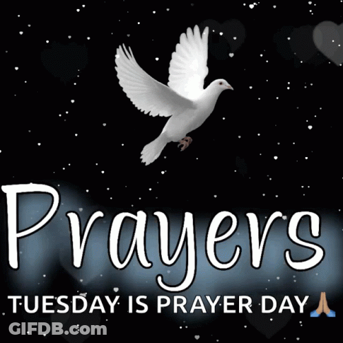 World Day Of Prayer Greeting Card With Cross GIF