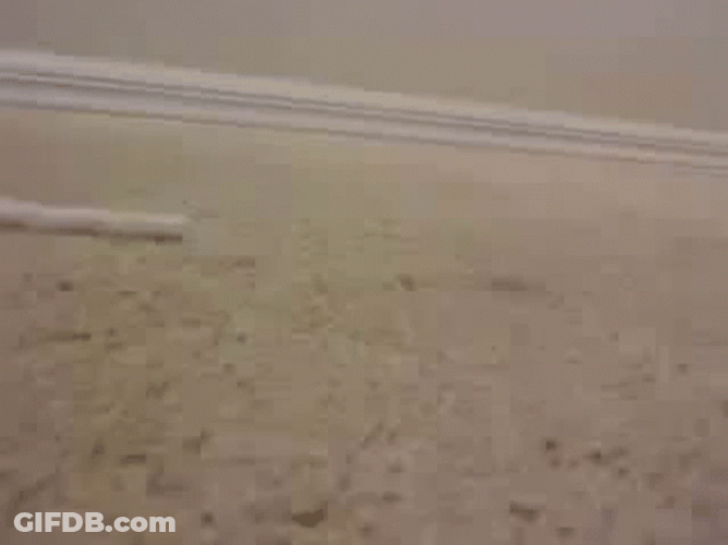 Worm Crawling Fast GIF