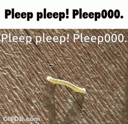 Worm Crawling Pleep Pleep GIF