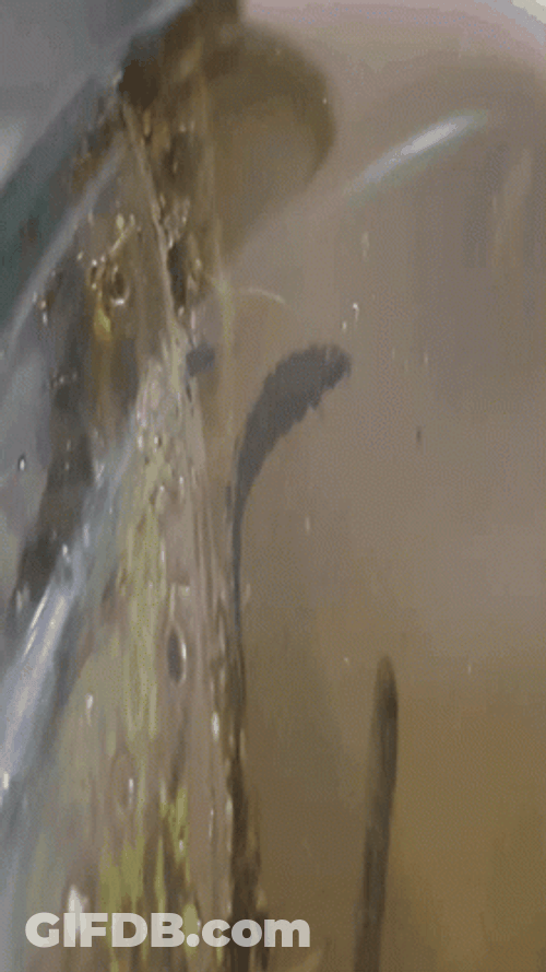 Worm Moving GIF