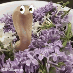 Worm With Big Eyes Crawling Through Purple Flowers GIF