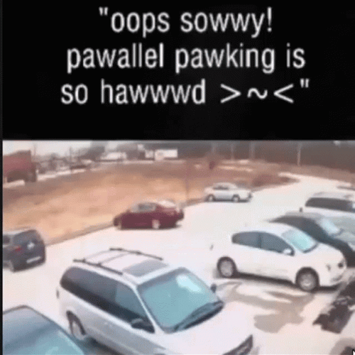 Worst Parallel Parking Mishap GIF