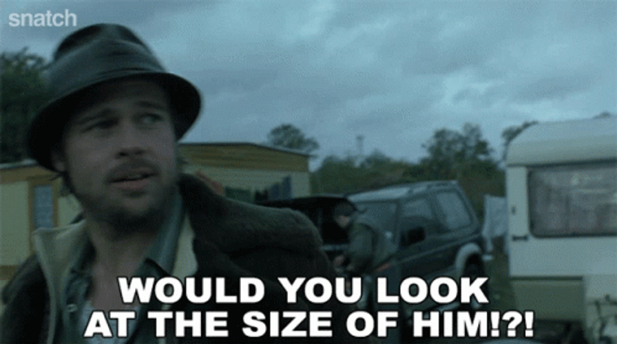 Would You Look At That Brad Pitt GIF