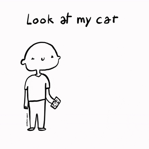 Would You Look At That Cat Sketch GIF