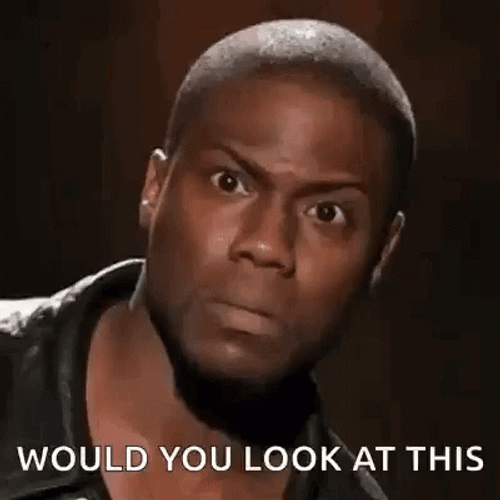 Would You Look At That Kevin Hart GIF