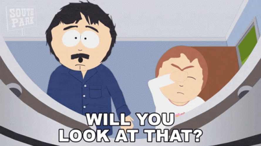 Would You Look At That Randy Marsh GIF