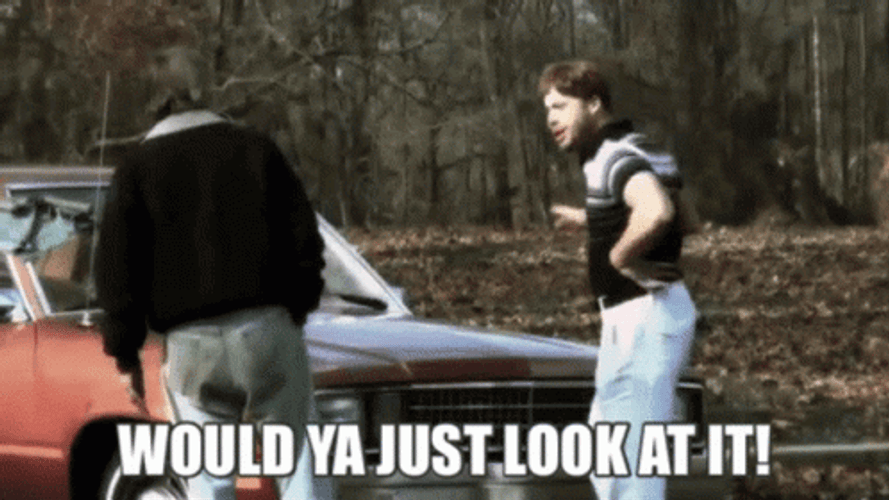 Would You Look At That YouTuber Ed Bassmaster GIF