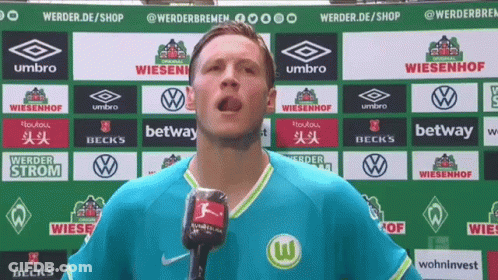 Wout Weghorst Wolfsburg GIF