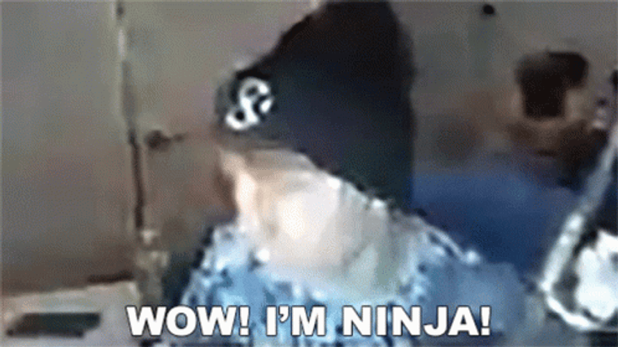 Wow I'm A Ninja Snood GIF
