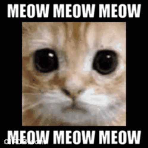 Wow Im Spinnig GIF