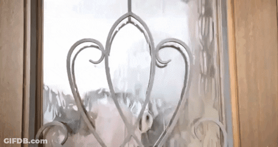 Wow In An Open Door GIF
