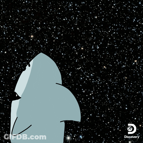 Wow. Shark Week. GIF
