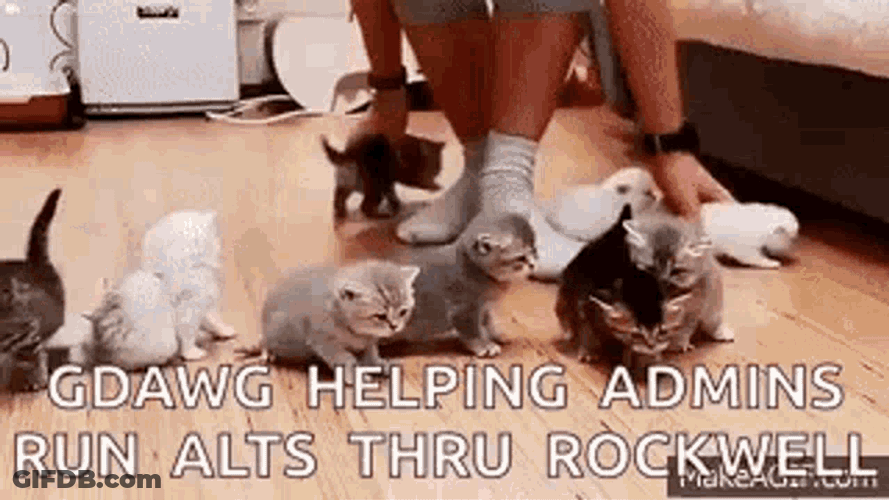 Wrangling Cats GIF