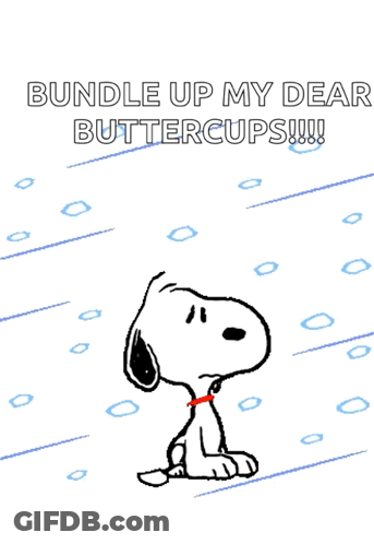 Wrapping Head With Scarf Saying Stay Warm GIF