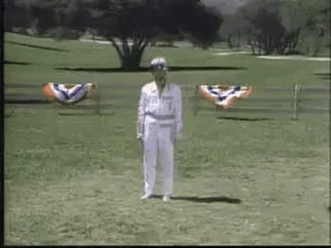 Wrecking Ball Pinning Super Dave Osborne GIF