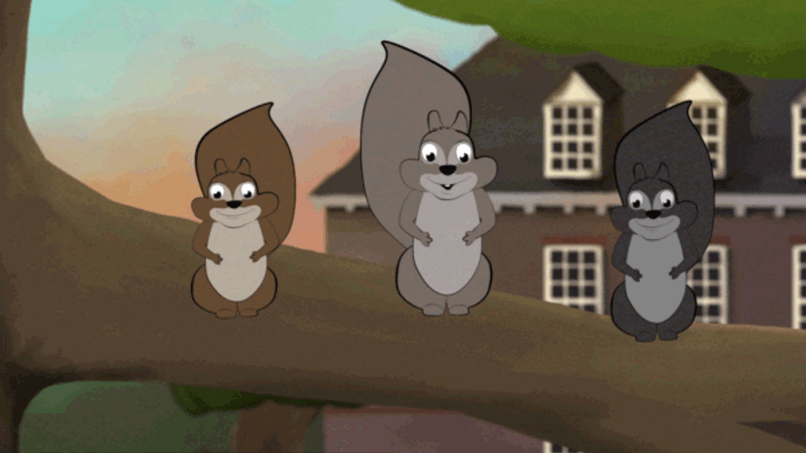 Wren Building Three Dancing Squirrels GIF