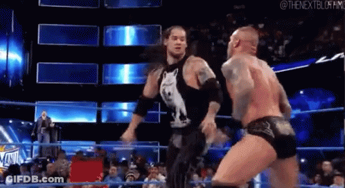 Wrestler Before Crowd Behind Barrier GIF