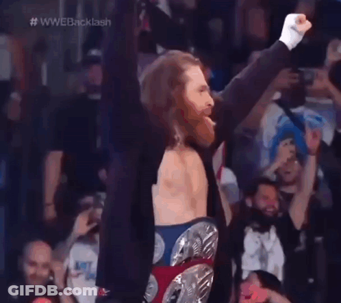 Wrestler Fist Pump In Front Of Crowd GIF
