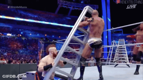 Wrestler Holding Ladder In Match GIF