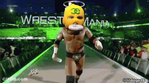 Wrestler In Chanel Mask At WrestleMania GIF